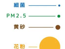 黄砂アレルギー つらい時期はいつまで？効果的な対処法もご紹介します!!