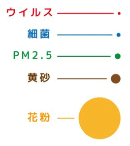 黄砂アレルギー つらい時期はいつまで？効果的な対処法もご紹介します!!