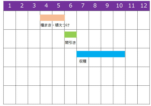 オレガノを栽培する４つのポイント